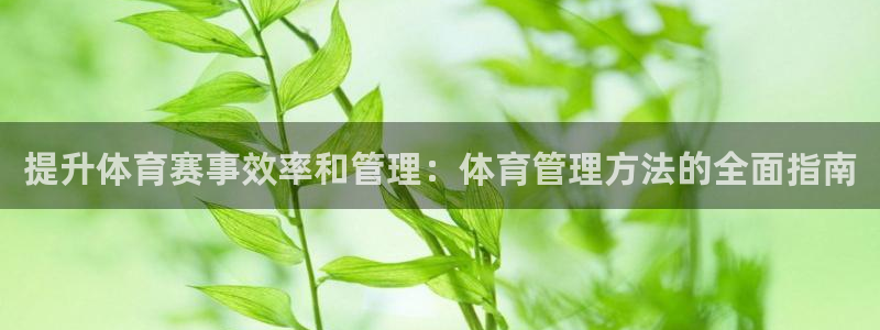 必一体育下载app下
