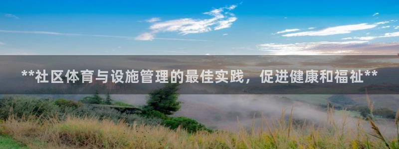必一体育游戏玩法：*