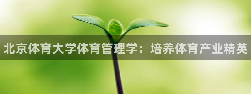 必一体育怎么下载：北