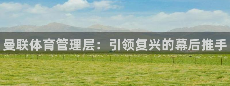 必一体育运动平台官网