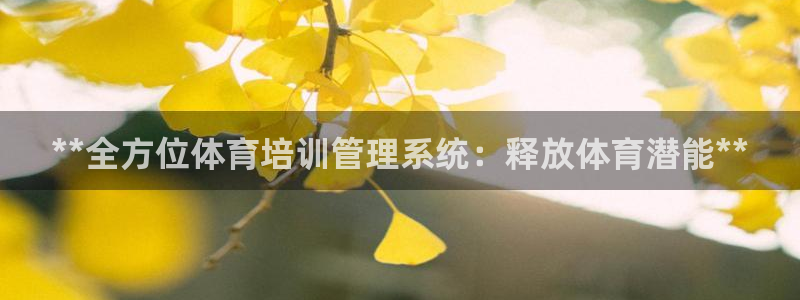 必一体育app下载装