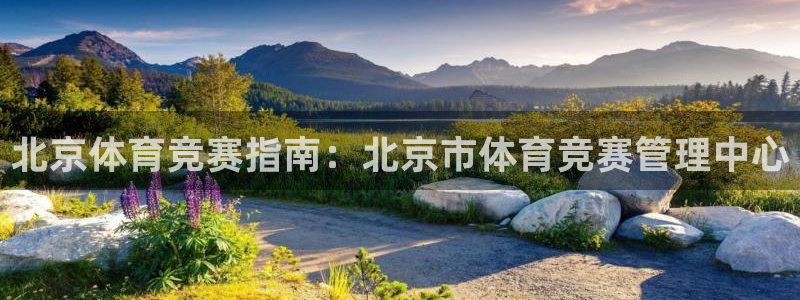 必一运动·(B-sp