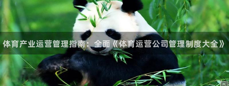 必一体育下载一样吗：