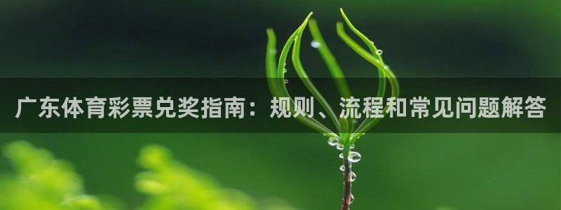 必一运动aop：广东