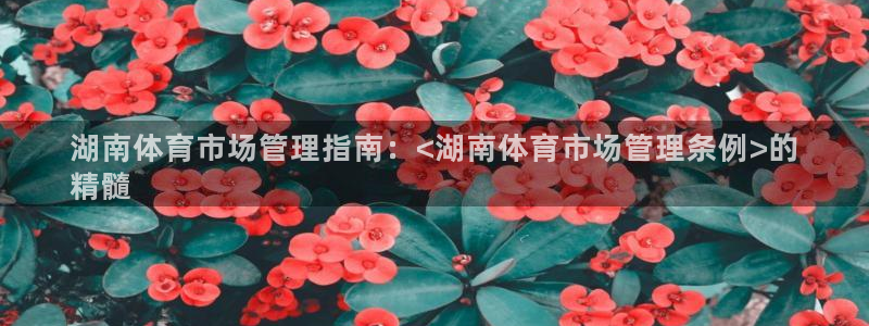 必一体育全站在线登录