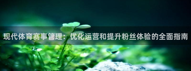 必一体育验证码：现代