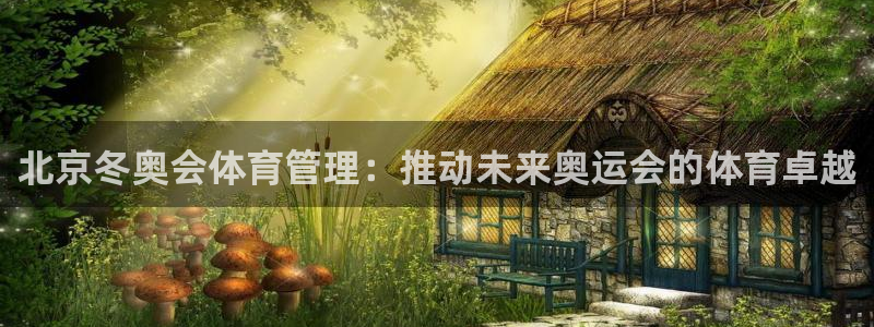 必一体育网页：北京冬