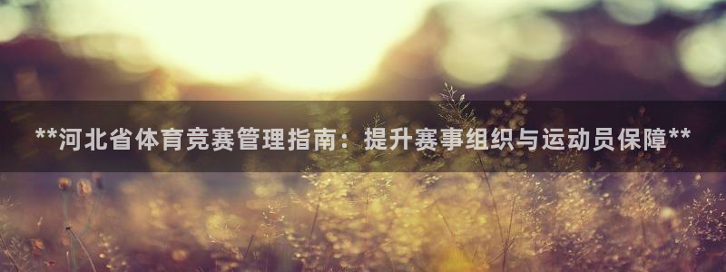 必一体育bsport