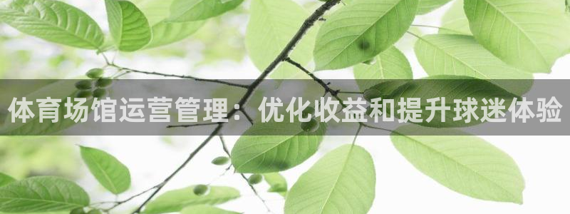 必一体育皮尔斯：体育