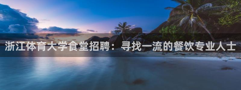 必一体育app平台下