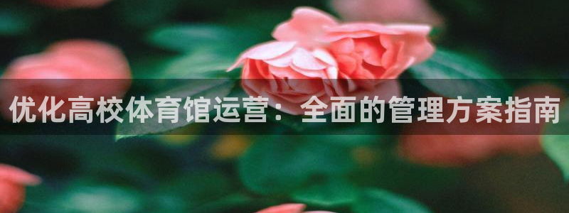 必一体育官网ios下