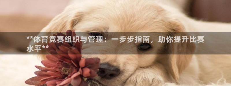 必一体育下载登入：*