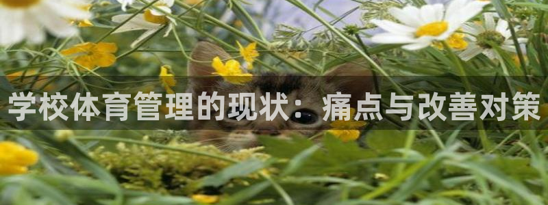 必一体育sport网