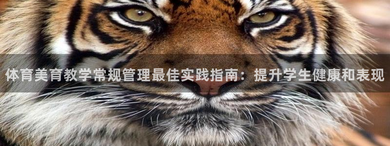 必一体育下载一样吗：