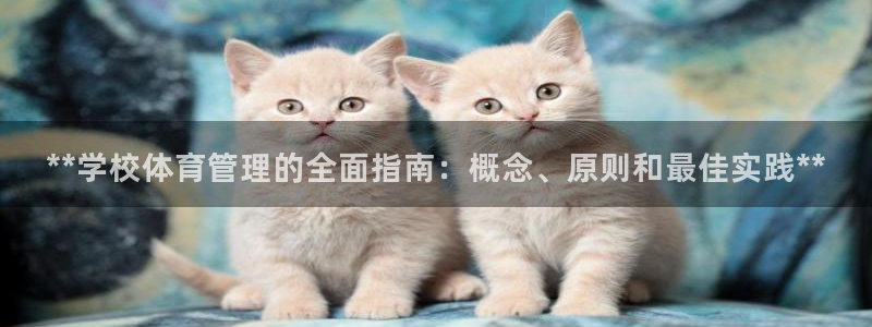 必一体育sport：