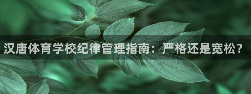 必一体育登录入口：汉