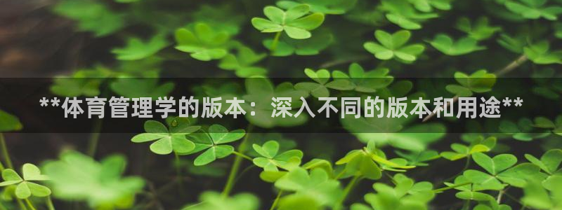 必一运动听的歌：**