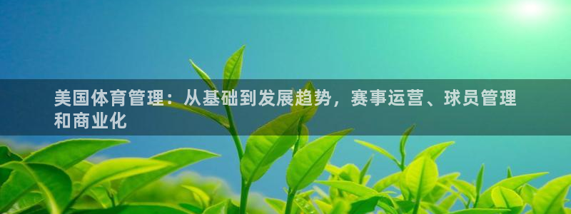 必一体育游戏玩法：美