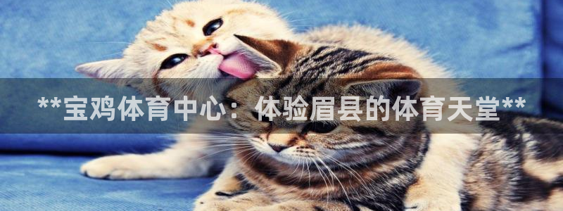 必一体育app下载最