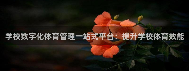必一体育登录入口：学