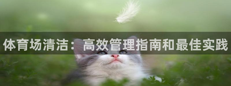 必一体育黑钱：体育场