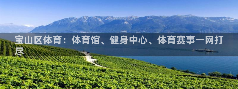 必一体育运动app下