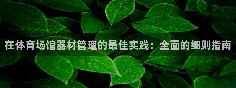 必一运动官网入口：在