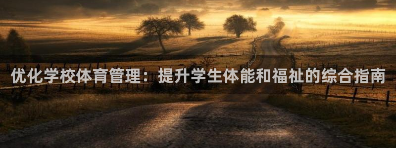 必一体育在哪下：优化