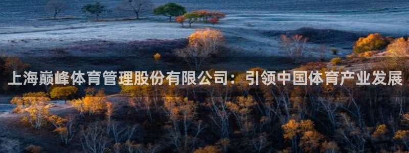必一体育下载：上海巅