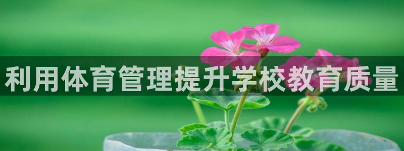 必一体育网站：利用体
