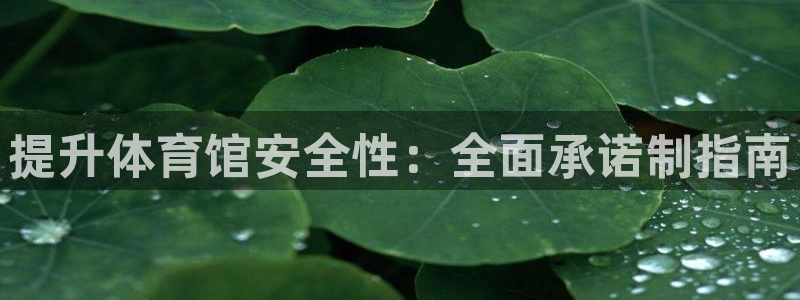 必一体育在线下载：提