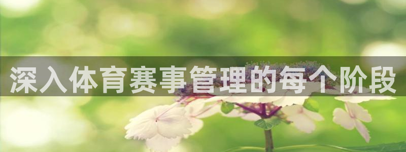 必一体育app官方网