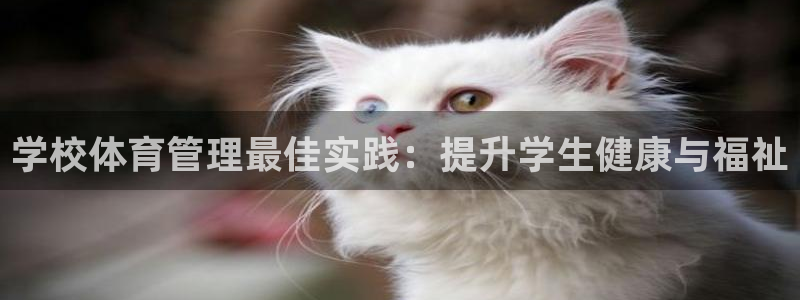 必一体育在线登陆：学