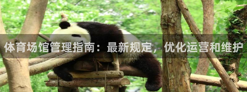 必一体育：体育场馆管