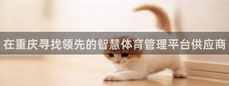 必一体育下载app：