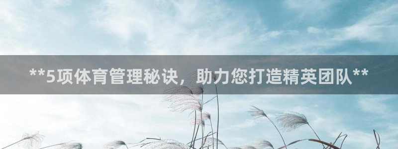 必一体育网站：**5