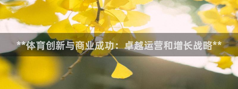 必一体育下载app：