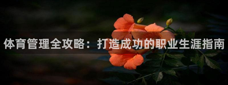 必一体育sportB