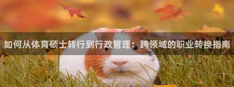 必一体育下载app下