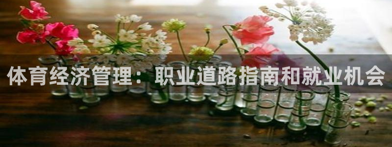 必一运动官网登录入口：体育经济管理：职业道路指南和就业机会