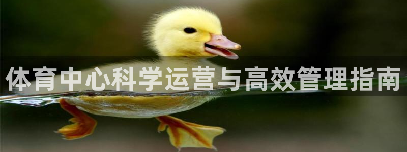 必一运动官网登录入口