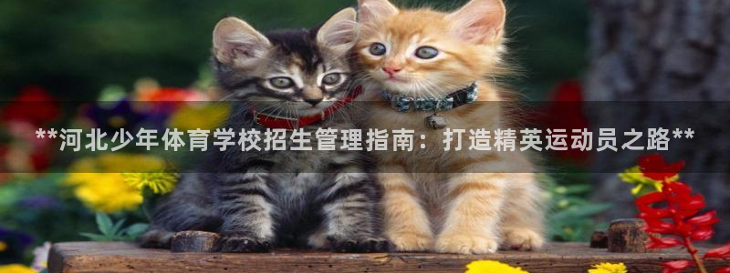 必一体育秀给网：**
