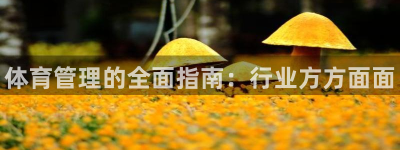 必一体育手机下载：体育管理的全面指南：行业方方面面