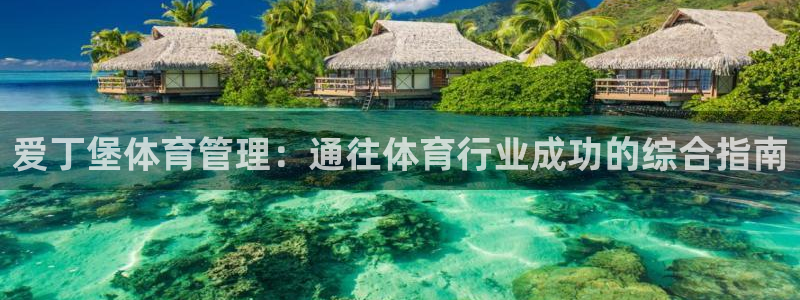 必一体育app下载：
