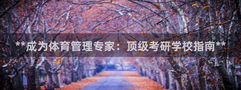 b体育官网下载入口a