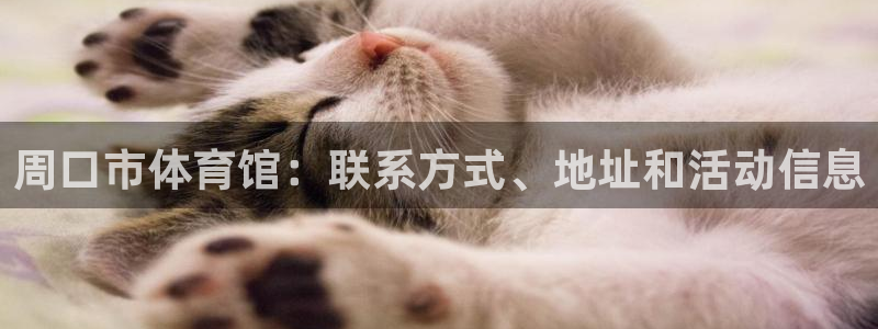 必一体育登陆：周口市