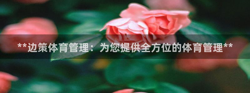必一体育下载app：