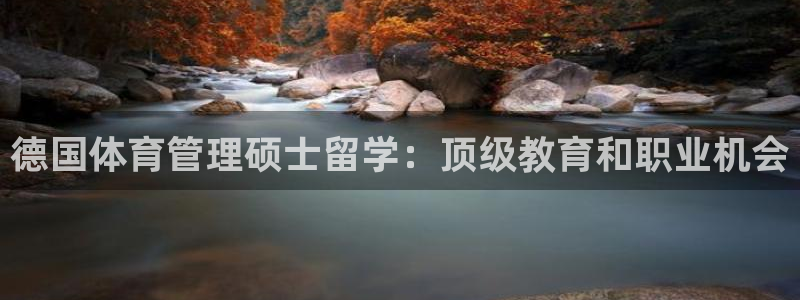 必一体育官方下载入口：德国体育管理硕士留学：顶级教育和职业机