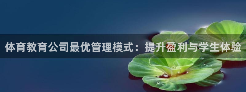 必一体育流水线是什么