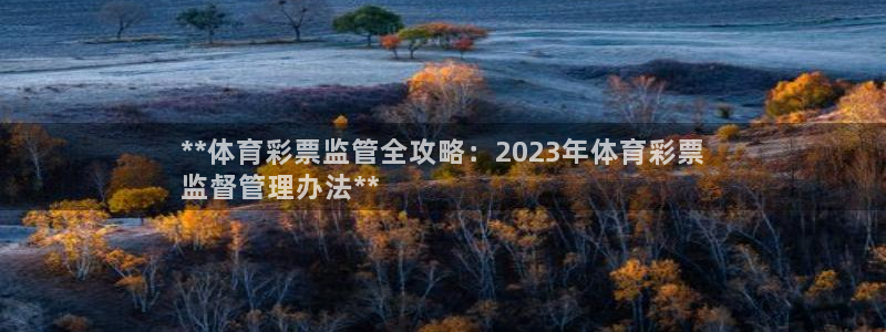 必一体育能提现大金额